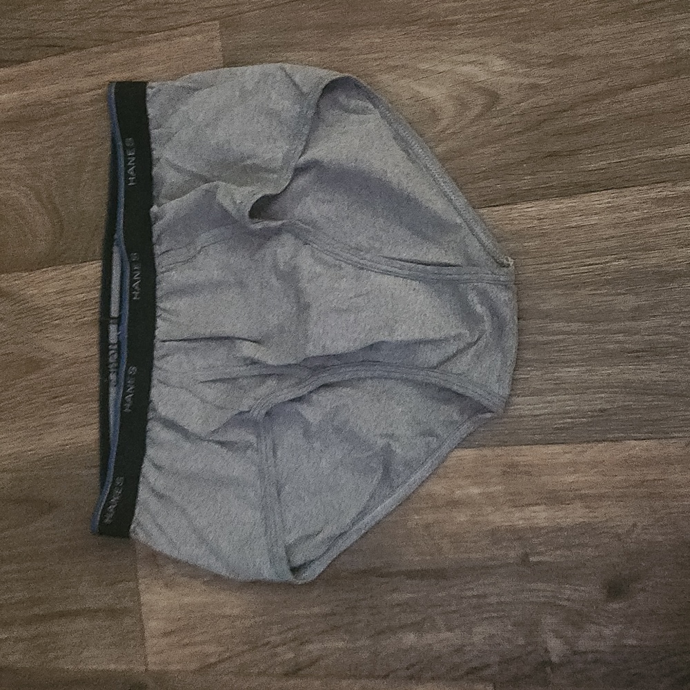 Hanes comfort blend briefs